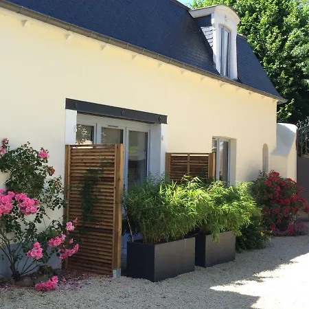 B&B Raphael