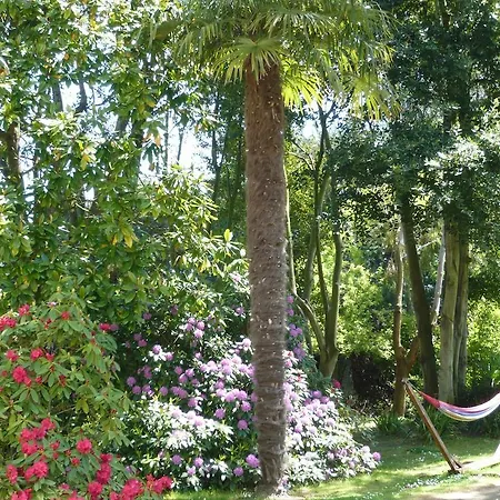Bed & Breakfast Raphael 3*